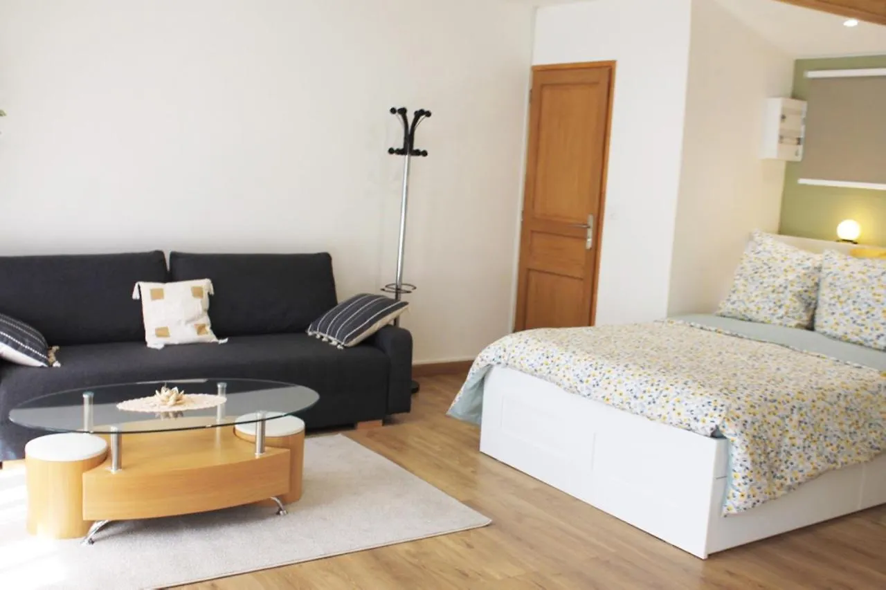 Saint Etienne : appartement Châteaucreux 40 M2 France