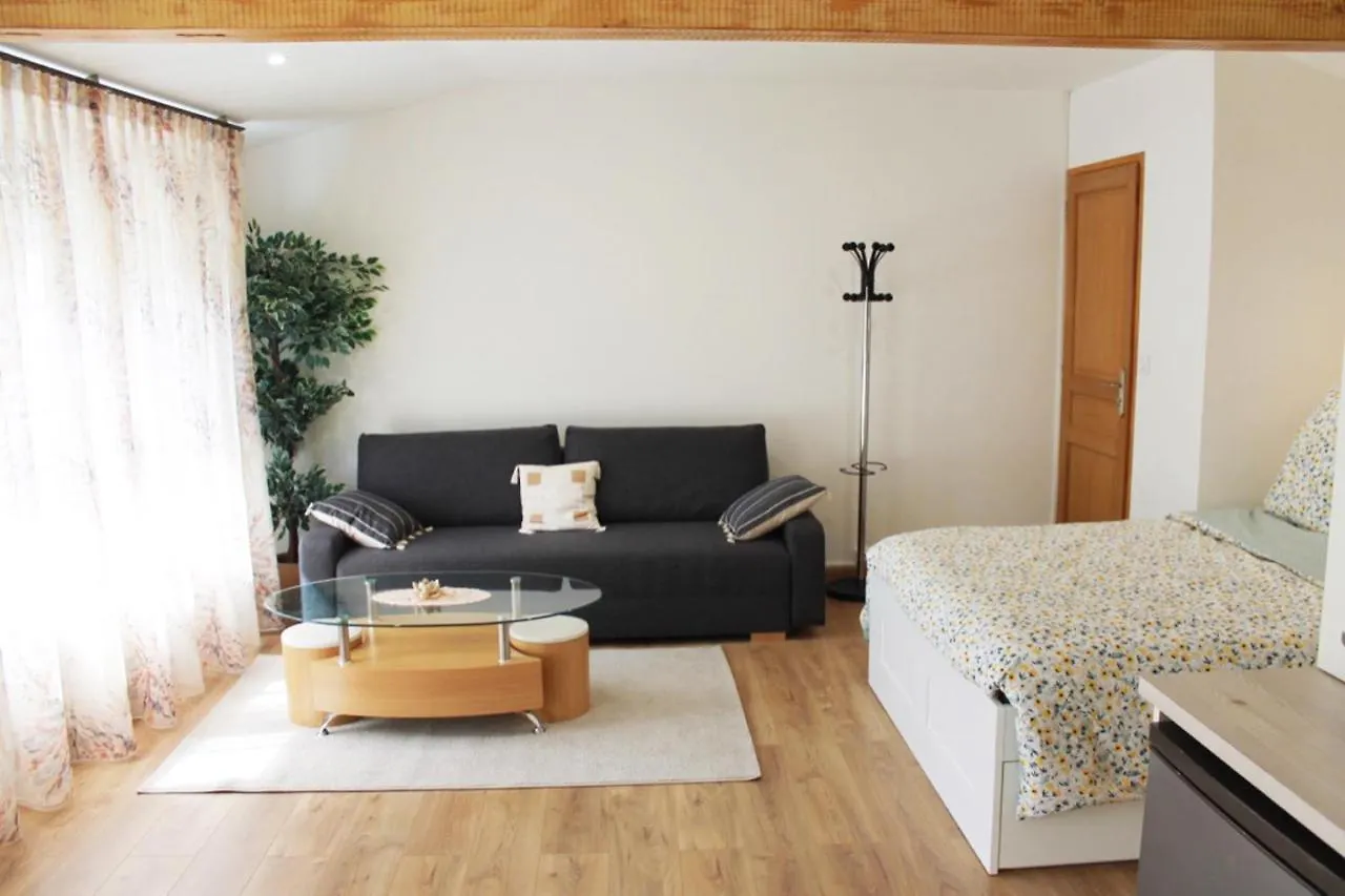 Saint Etienne : appartement Châteaucreux 40 M2  Saint-Etienne (Loire)